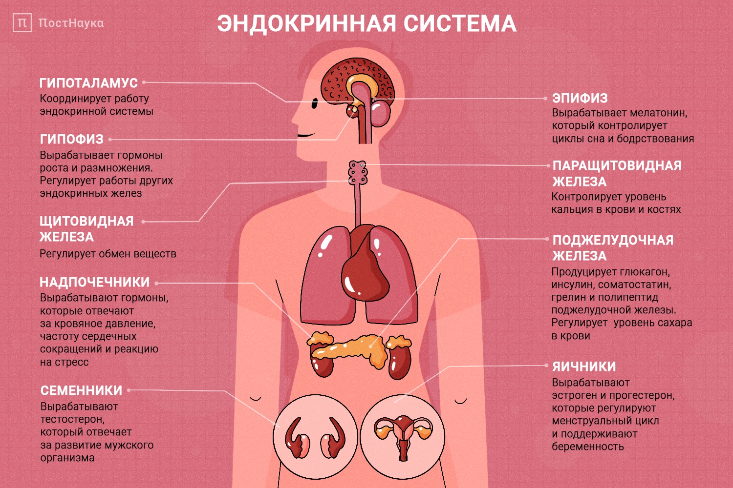 План физической активности